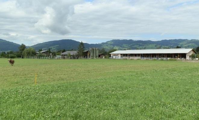 Steigmatt Bauernhof- Erlebnis Montlingen Exterior foto