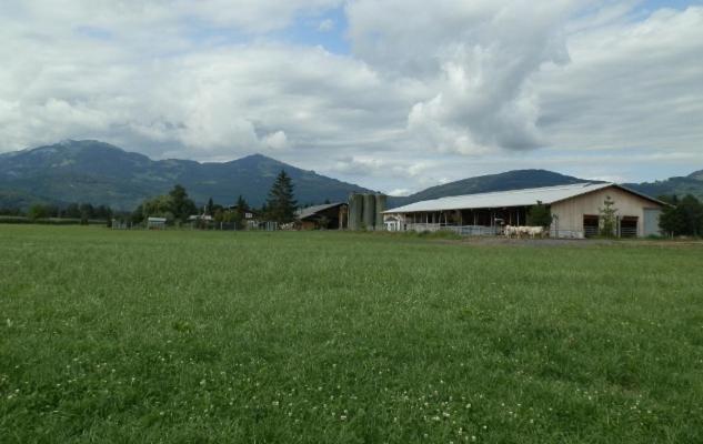 Steigmatt Bauernhof- Erlebnis Montlingen Exterior foto