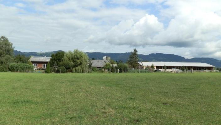 Steigmatt Bauernhof- Erlebnis Montlingen Exterior foto